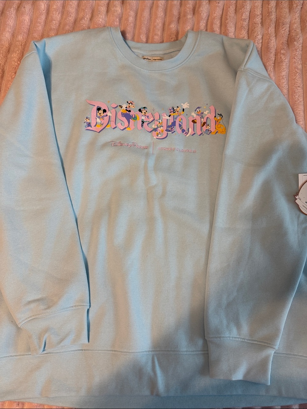 Stoney Clover Pastel Blue Disneyland Character Crewneck Sweatshirt - Picture 5 of 6